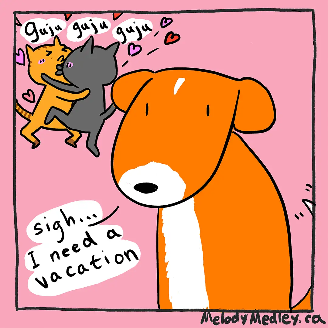 An orange dog with a white chest looks bored and overwhelmed as two cats, one orange and one gray, enthusiastically embrace…