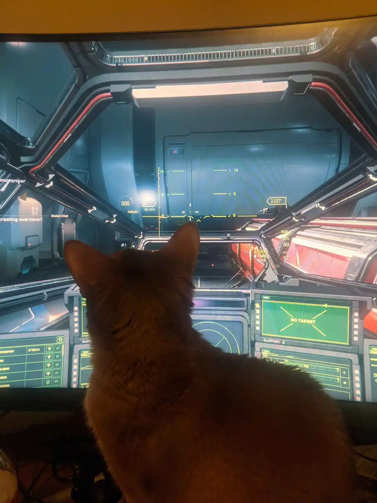 A brown cat is seen from behind, sitting in front of a computer monitor displaying a first-person view from a sci-fi…