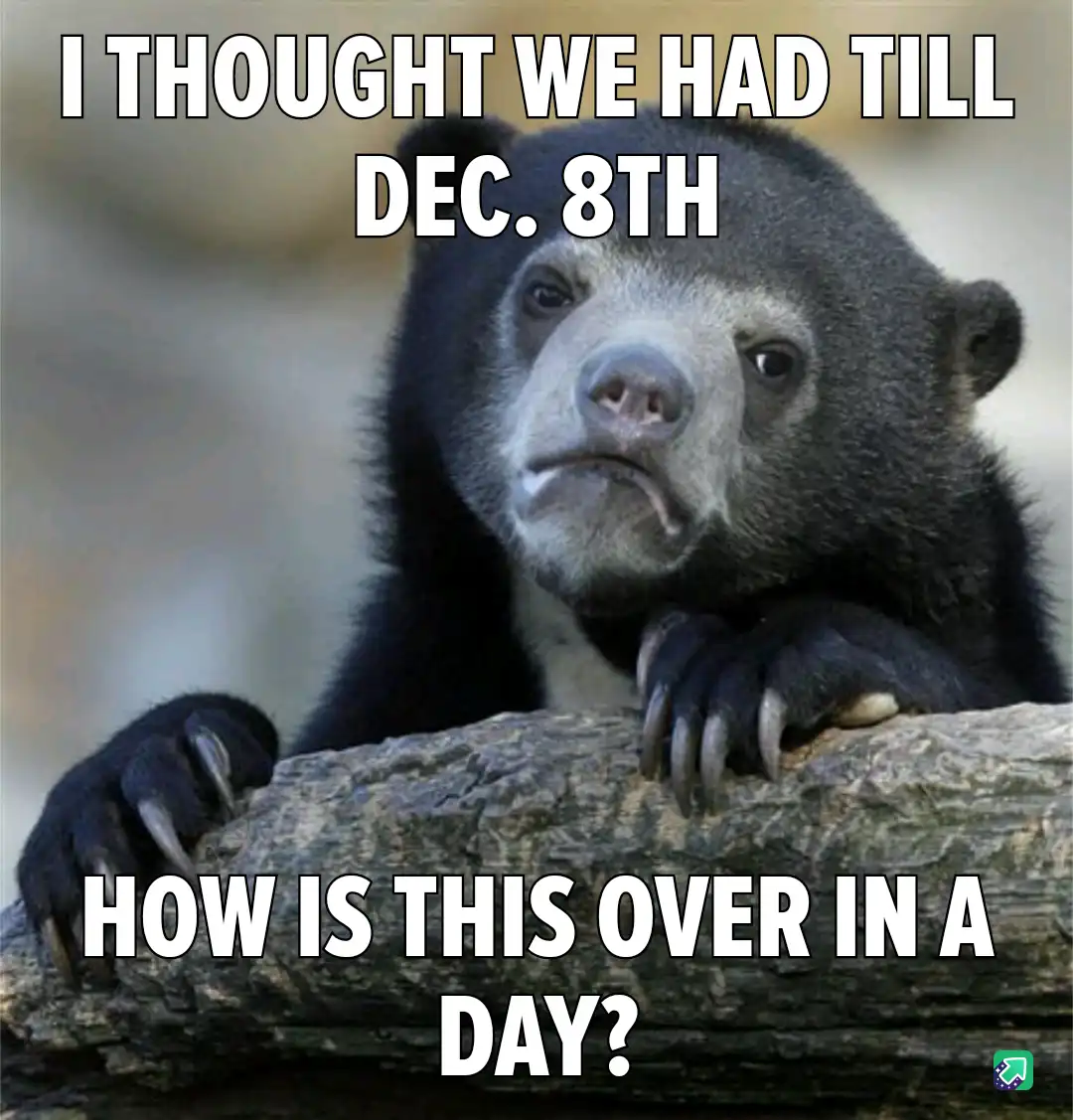 Confusion reigns: this bear mirrors my feelings perfectly.