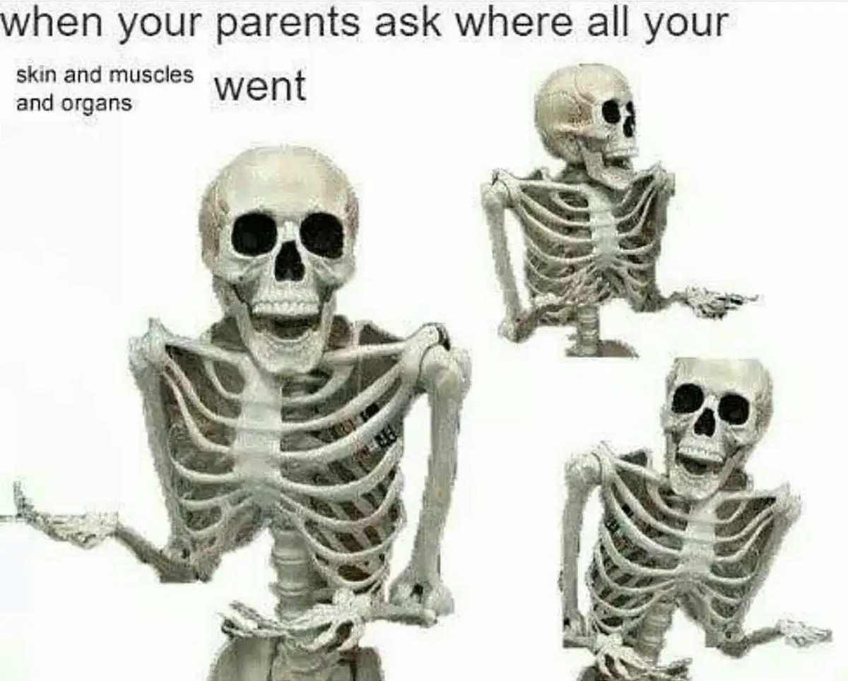 The image displays three plastic skeleton figures against a white background. The largest skeleton in the foreground has its…