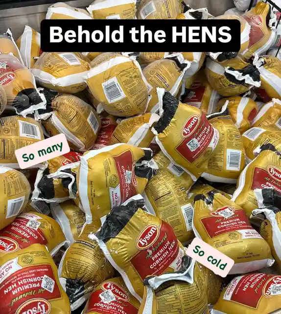 A large pile of Tyson-branded packaged Cornish hens, each in yellow and red plastic wrapping, fills the frame. Overlaid text…