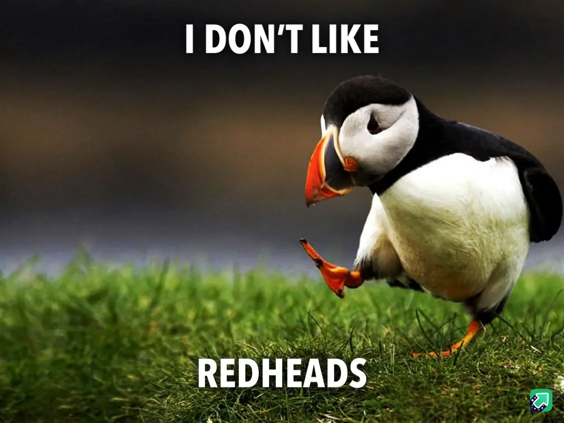 A puffin stands on green grass with a slightly annoyed or disdainful expression, looking down and to the side. The text 'I…