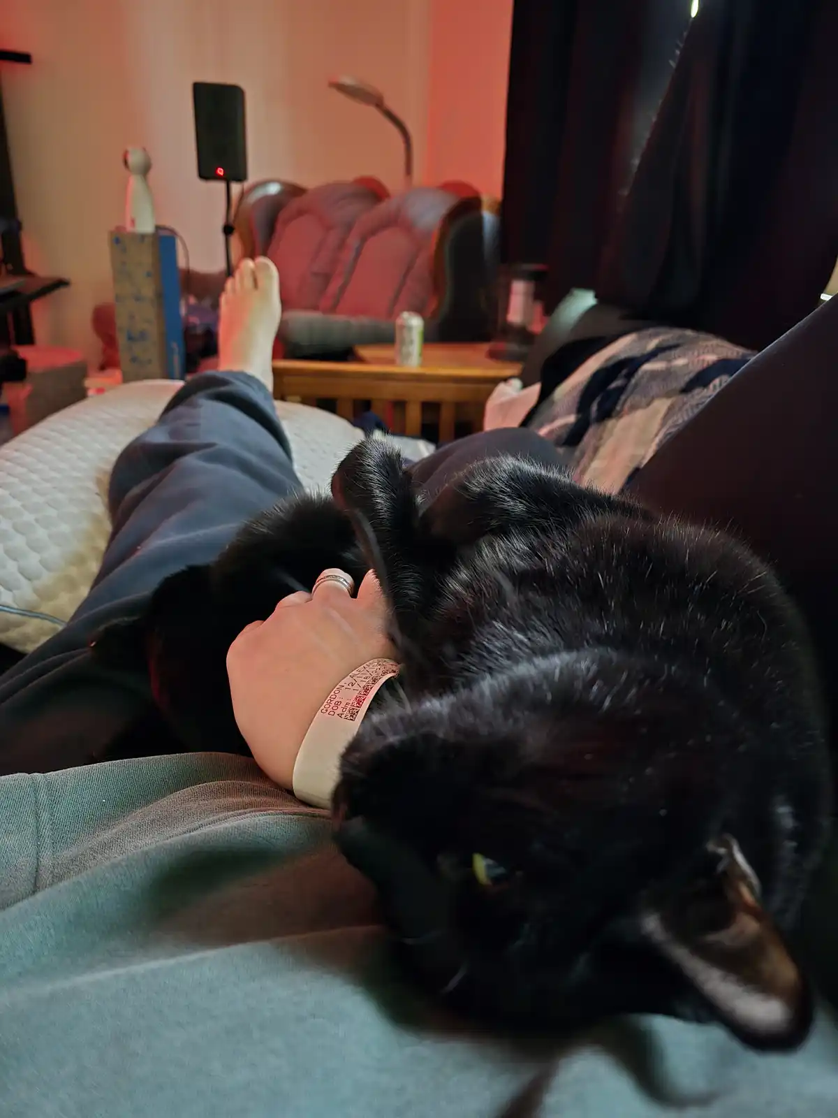A person is lounging on a couch with a black cat curled up and sleeping on their lap, its head resting near the person's…