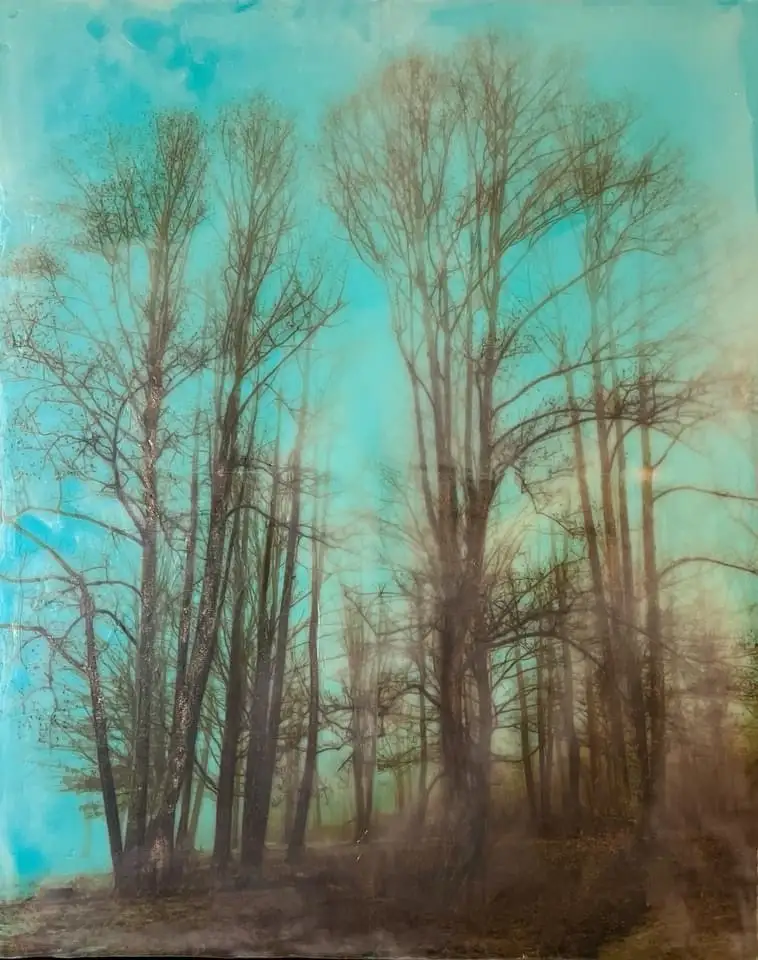 A surreal, painterly image of bare, leafless trees against a teal sky, with a hazy, dreamlike overlay. The overlaid text…
