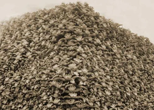 A large pile of dried, brownish mushrooms fills the frame, with the overlaid text reading 'i'm not a fan of mushrooms'. The…