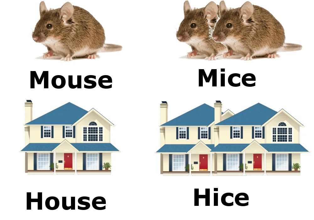 The image displays a grid of four panels. Top left: a single brown mouse labeled 'Mouse'. Top right: two brown mice labeled…