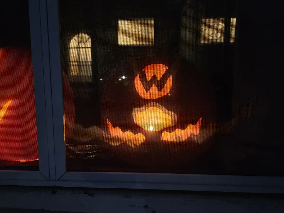 A carved pumpkin with a lit candle inside, viewed through a screen door at night, has the letter 'W' cut out for its eyes…