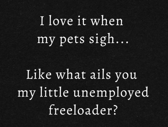 A black textured background displays white text in two centered paragraphs. The top reads 'I love it when my pets sigh...'…
