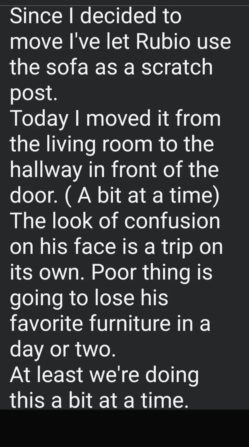 The image displays a block of white text on a dark background, describing a humorous situation where a pet named Rubio has…