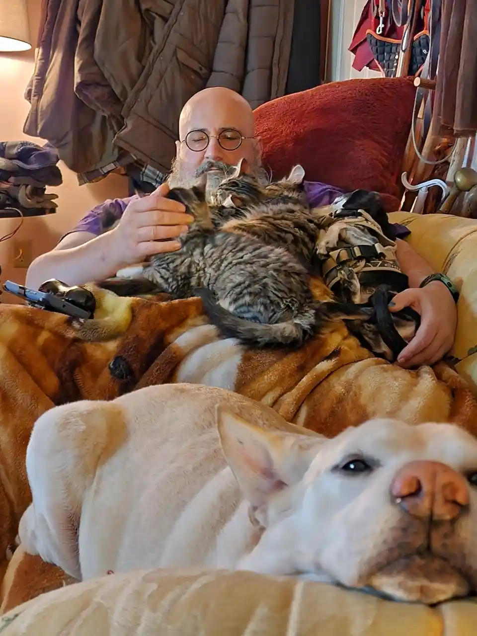 A bald man with glasses and a beard sits on a couch, surrounded by multiple pets including a tabby cat on his chest, a small…