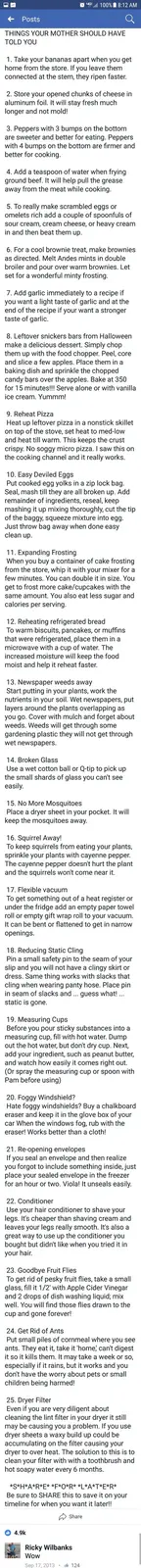 Motherly Wisdom for Imgur's Sweet 16 Celebration