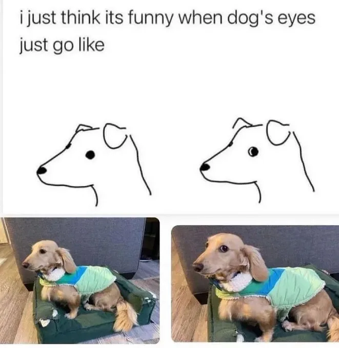 The image shows a top panel with two simple line drawings of a dog's head, one with normal eyes and one with wide…