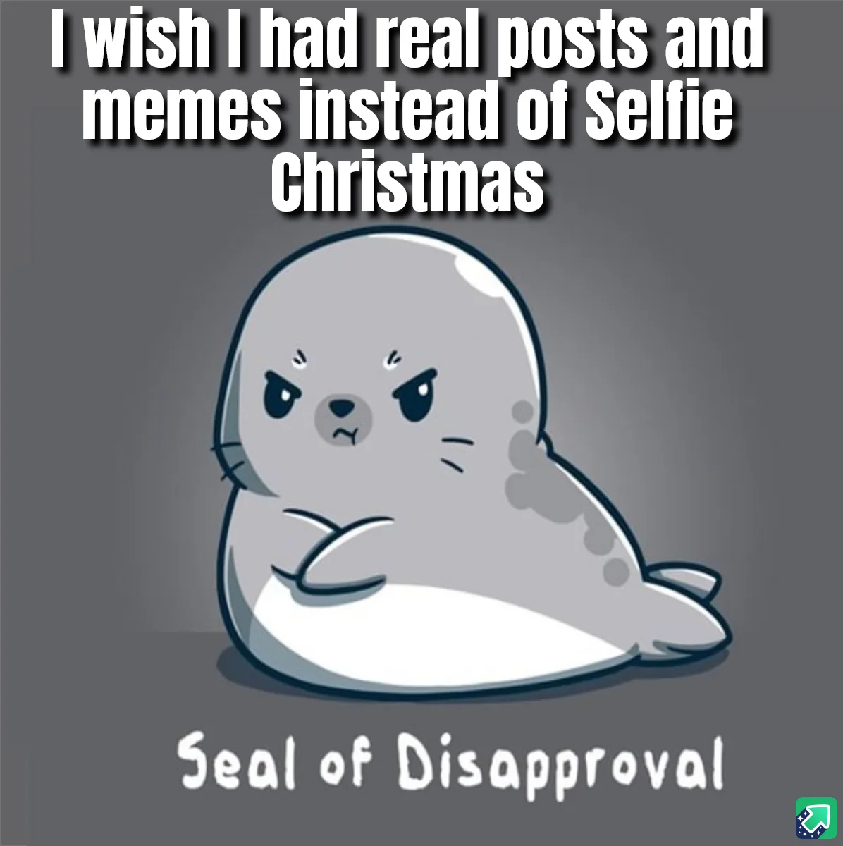A cartoon seal with an angry, disapproving expression sits against a gray background. White text at the top reads 'I wish I…