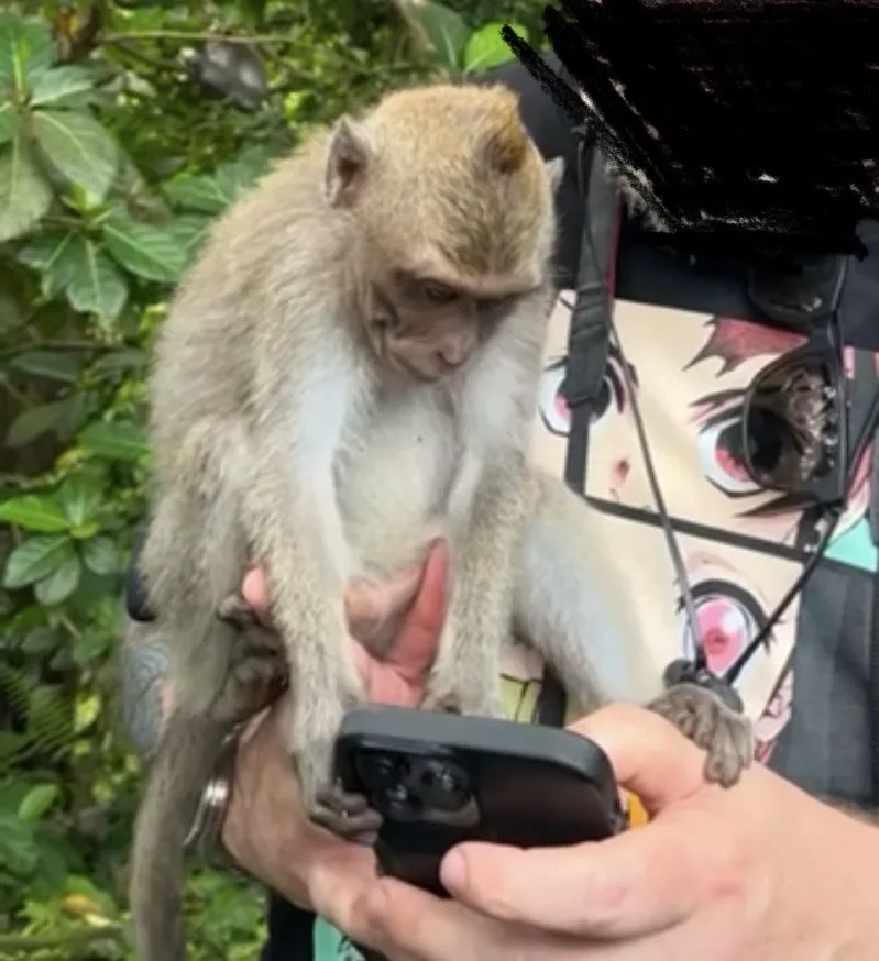 Exploring the enchanting Ubud Monkey Forest