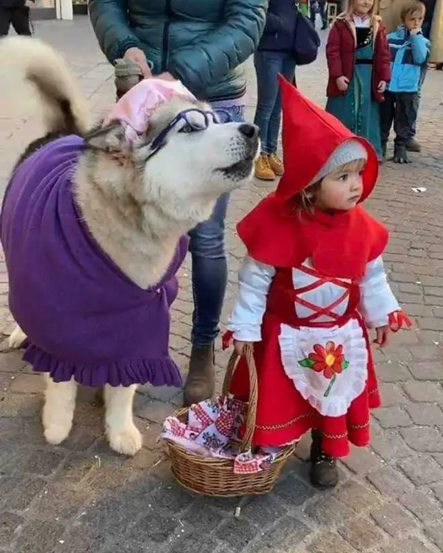 A large dog dressed in a purple dress with a pink headscarf and glasses stands beside a small child in a red hooded Little…