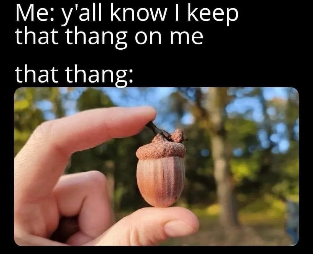 A hand holds a small acorn between thumb and forefinger against a blurred outdoor background. White text at the top reads…