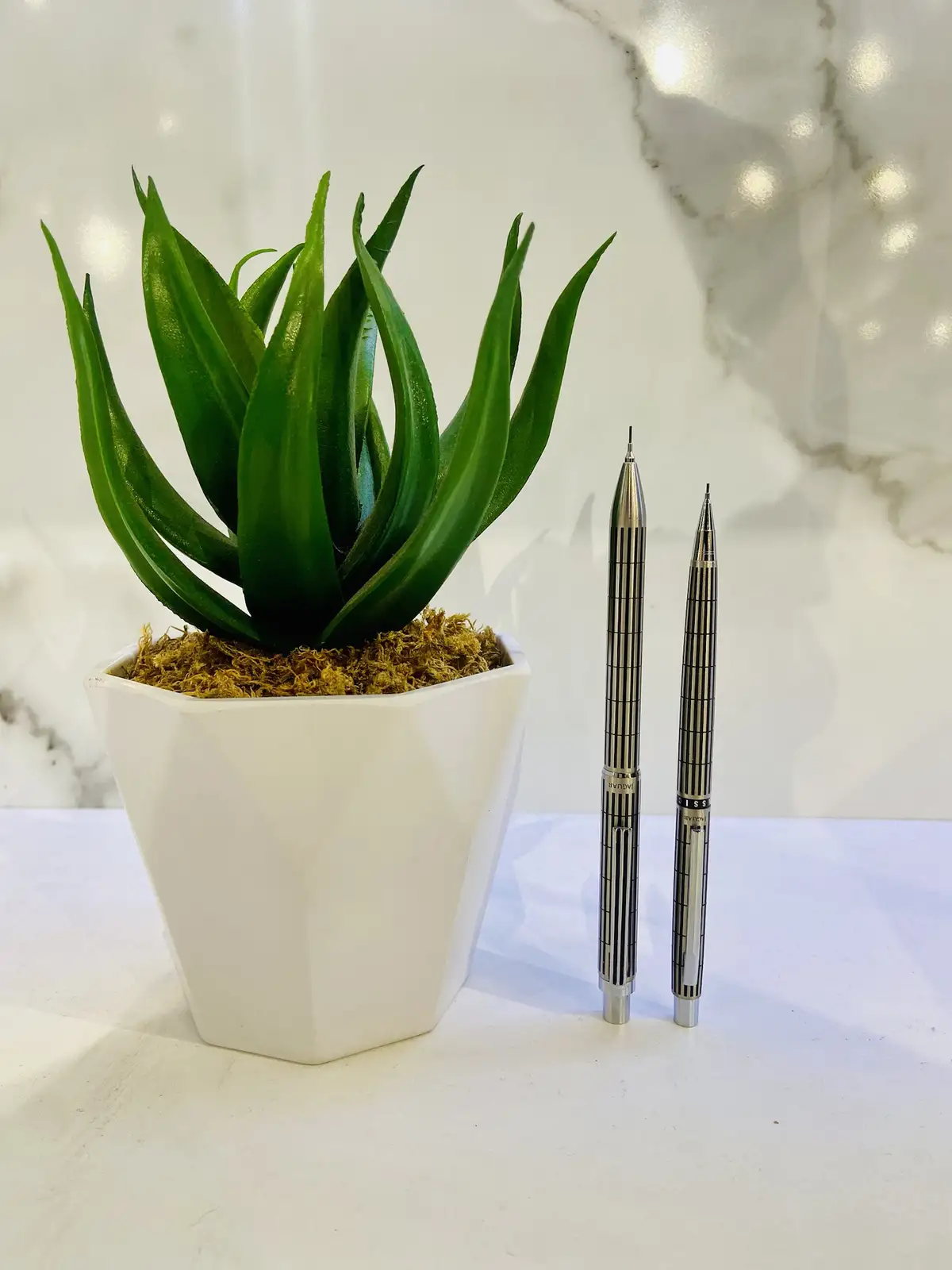 A small potted succulent plant sits next to two identical silver mechanical pencils on a white surface, with the overlaid…