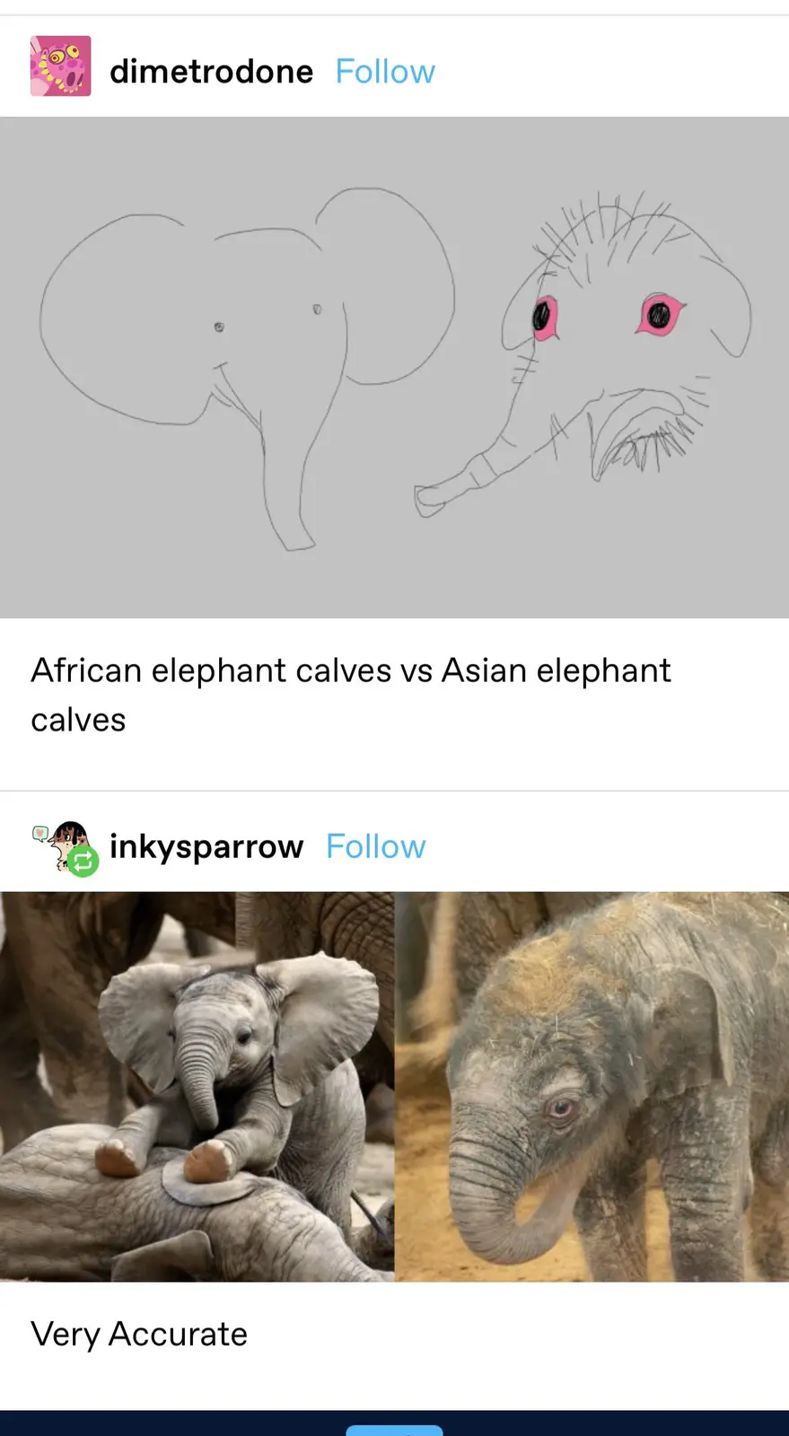 The image displays two side-by-side Instagram posts. The top post shows a simple line drawing of two elephants, one with…