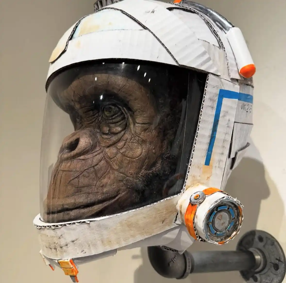 Meet the Space Chimp!