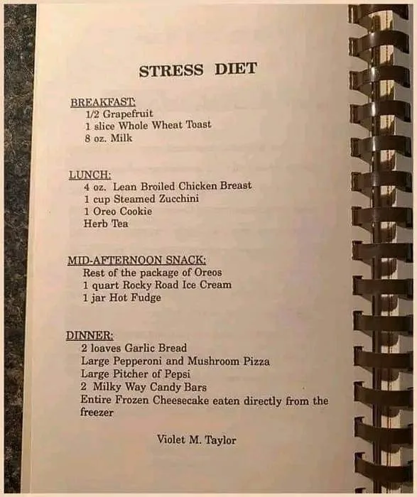 A spiral-bound notebook page titled 'STRESS DIET' lists meals with absurdly contrasting portions: healthy breakfast items…