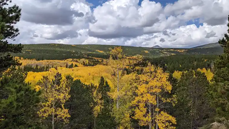 A scenic autumn landscape featuring rolling hills covered in vibrant yellow aspen trees interspersed with evergreen pines…
