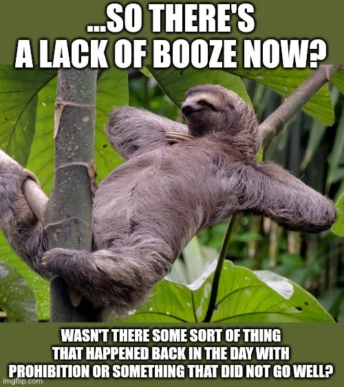 A sloth is lounging lazily on a tree branch in a jungle setting, looking relaxed and unbothered. The image has white text…