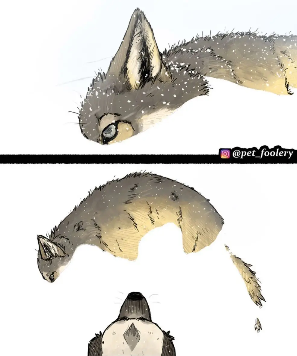 The image shows a split-panel drawing of a cat in a snowy scene. The top panel shows the cat's head looking down, while the…