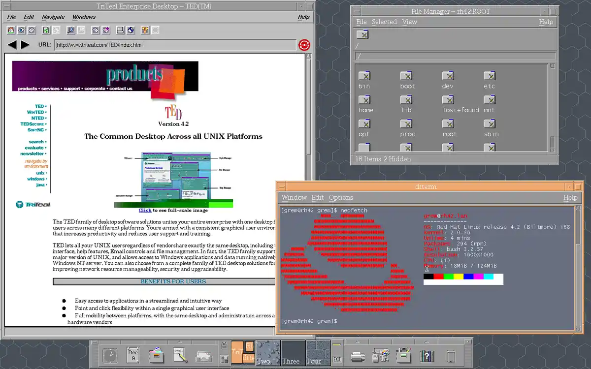A screenshot of a 1990s-style desktop with a Triteal Enterprise Desktop (TED) promotional webpage on the left and a Linux…