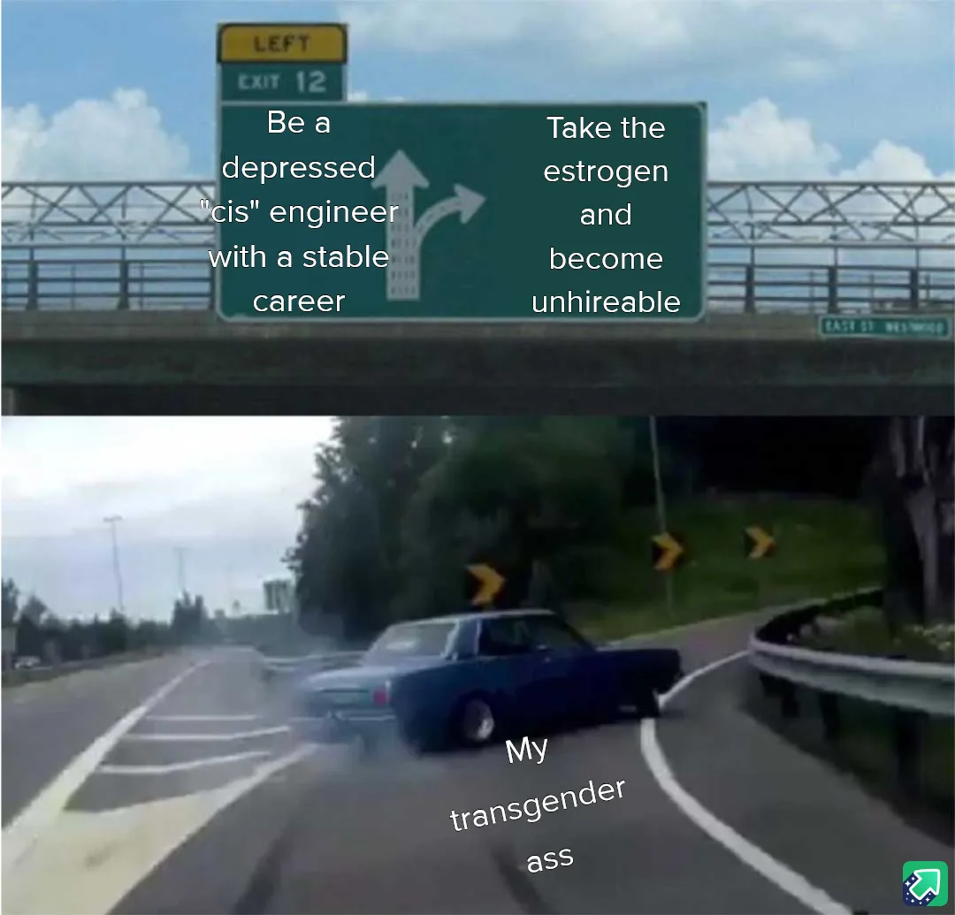 The top panel shows a highway exit sign with two paths: one labeled 'Be a depressed "cis" engineer with a stable career' and…