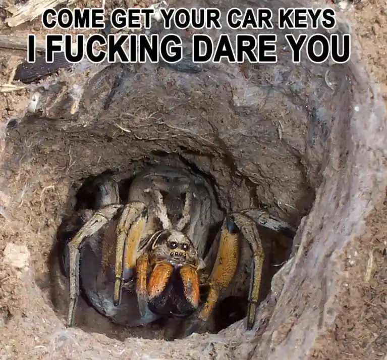 A large, menacing-looking spider with prominent fangs and hairy legs is visible inside a dirt burrow, staring directly at…