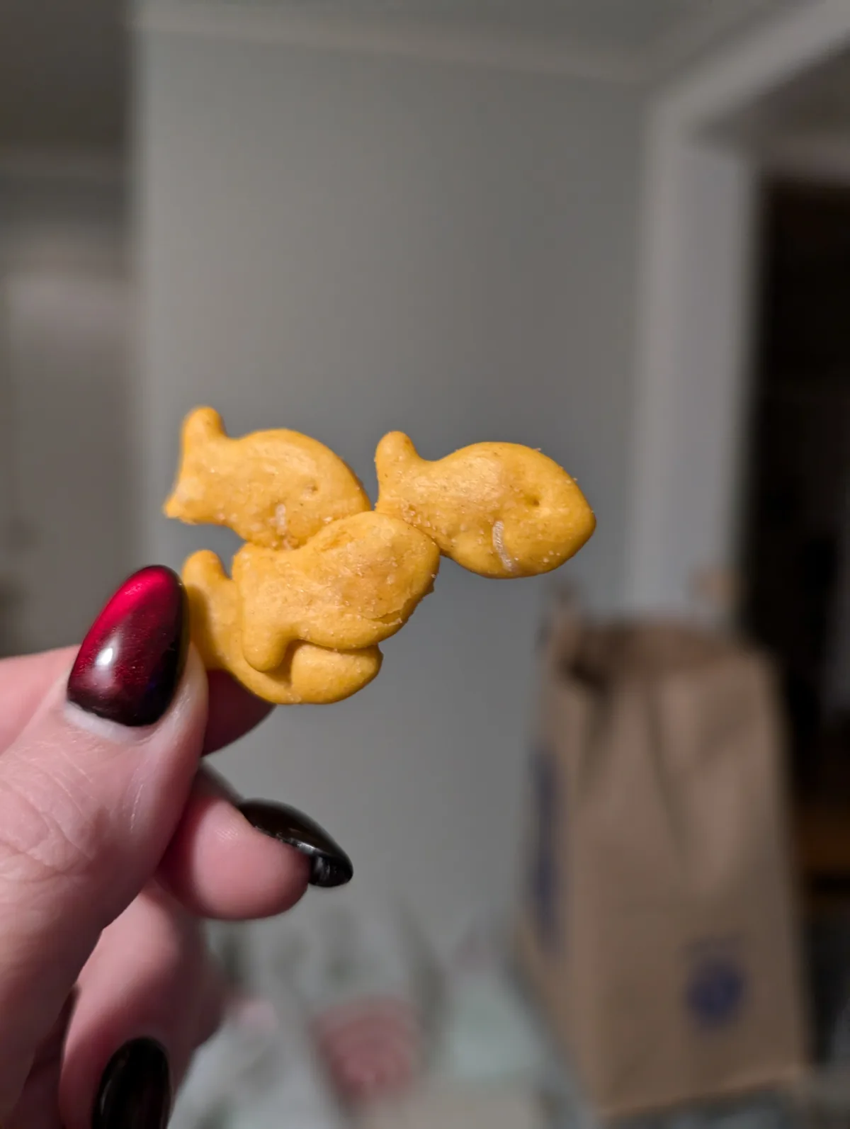 Meet the Quadruple Goldfish: A Unique Aquatic Marvel