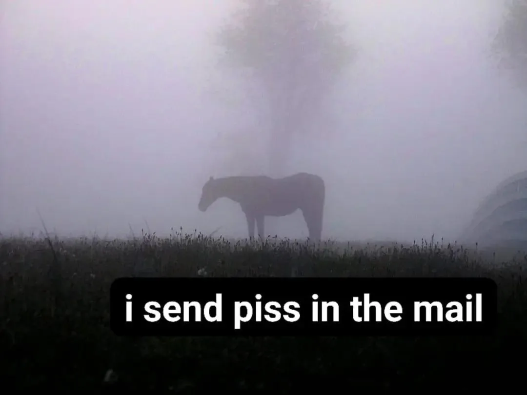 A horse stands in a foggy field with trees barely visible through the mist, and a black bar at the bottom contains the white…