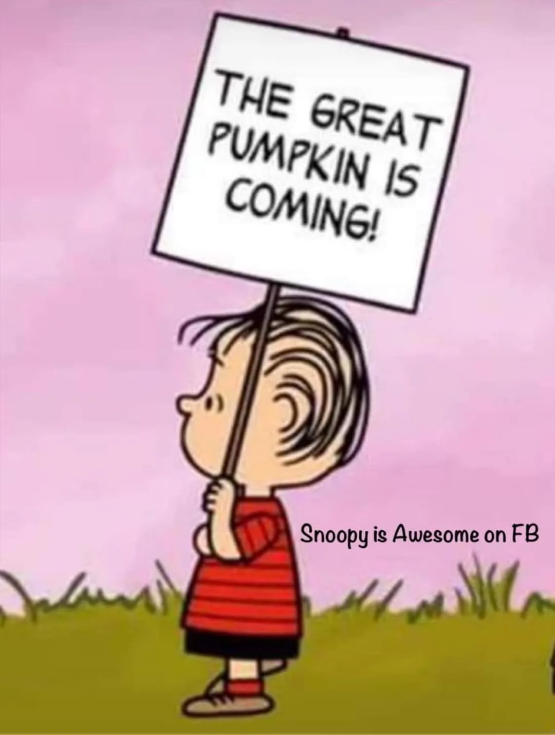 A cartoon boy in a red striped shirt holds a sign that reads 'THE GREAT PUMPKIN IS COMING!' against a pink sky and green…