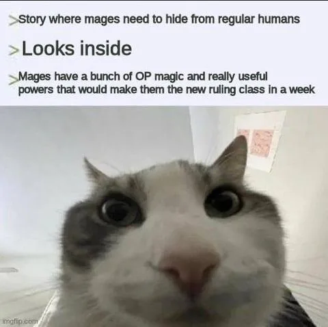 A close-up photo of a white and gray cat with wide, startled eyes staring directly at the camera. The image has three lines…