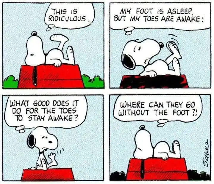 A four-panel comic strip featuring Snoopy lying on his red doghouse. In the first panel, he thinks 'THIS IS RIDICULOUS...'…