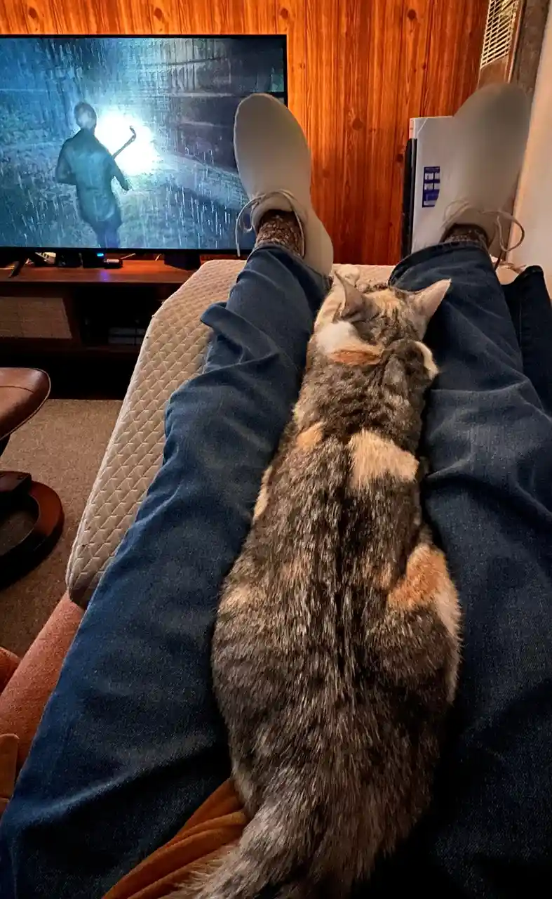 A person wearing jeans and white sneakers is lounging on a couch with their legs up, while a calico cat sleeps curled up on…