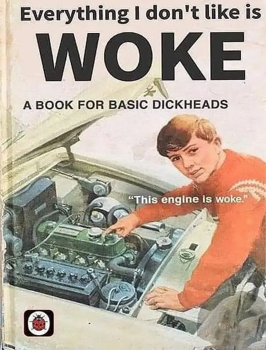 An image of a vintage book cover showing a young boy in an orange sweater pointing at a car engine. The book's title reads…