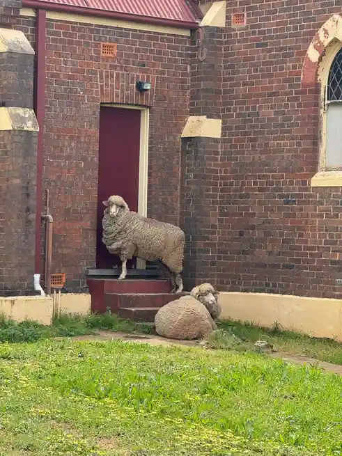 Two fluffy sheep are pictured outside a red-brick building with a red door; one stands on the steps looking directly at the…