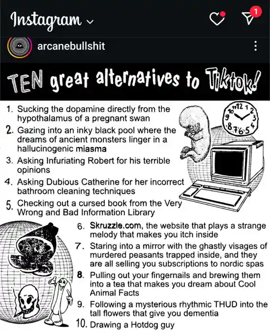 A black-and-white illustrated image mimicking an Instagram post from 'arcanebullshit' lists 'TEN great alternatives to…