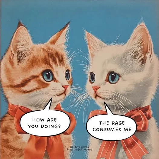 Two illustrated cats wearing red bow ties face each other against a blue background. The orange tabby on the left asks 'HOW…