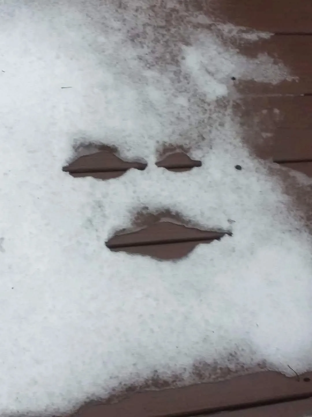 A close-up photo shows a patch of snow partially covering brown wooden planks, with three distinct indentations forming the…