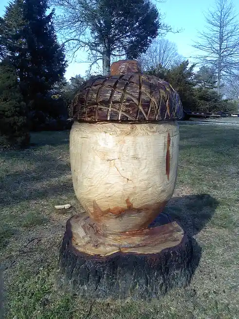 A large, intricately carved wooden acorn sculpture sits atop a tree stump in a grassy yard with trees in the background. The…