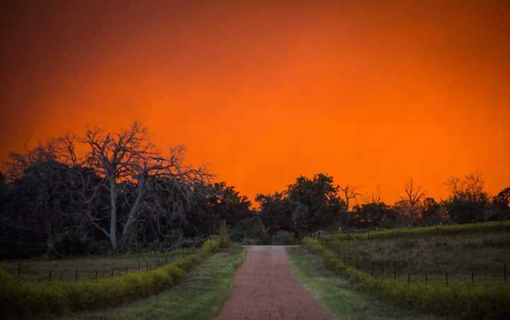 A dirt road stretches through a grassy field toward a line of trees under a sky glowing intensely orange, resembling a…