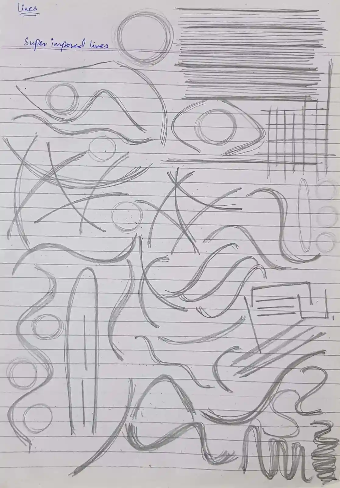 Art Fundamentals: Mastering Lines, Ellipses, and Boxes