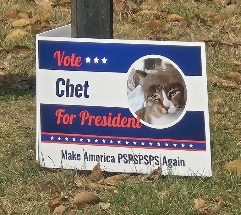A political campaign sign with a cat's photo, styled like a U.S. presidential campaign, reads 'Vote Chet For President' and…