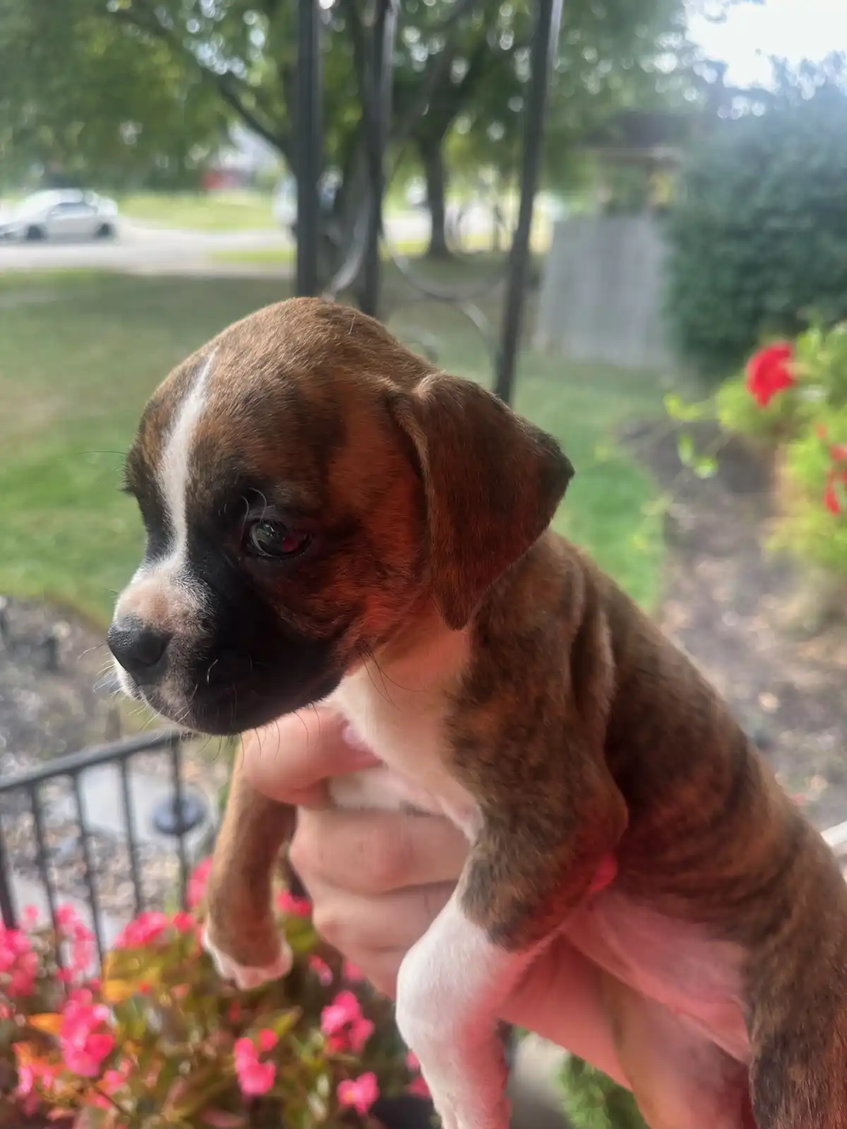 The first two months with Mocha: a delightful adventure!