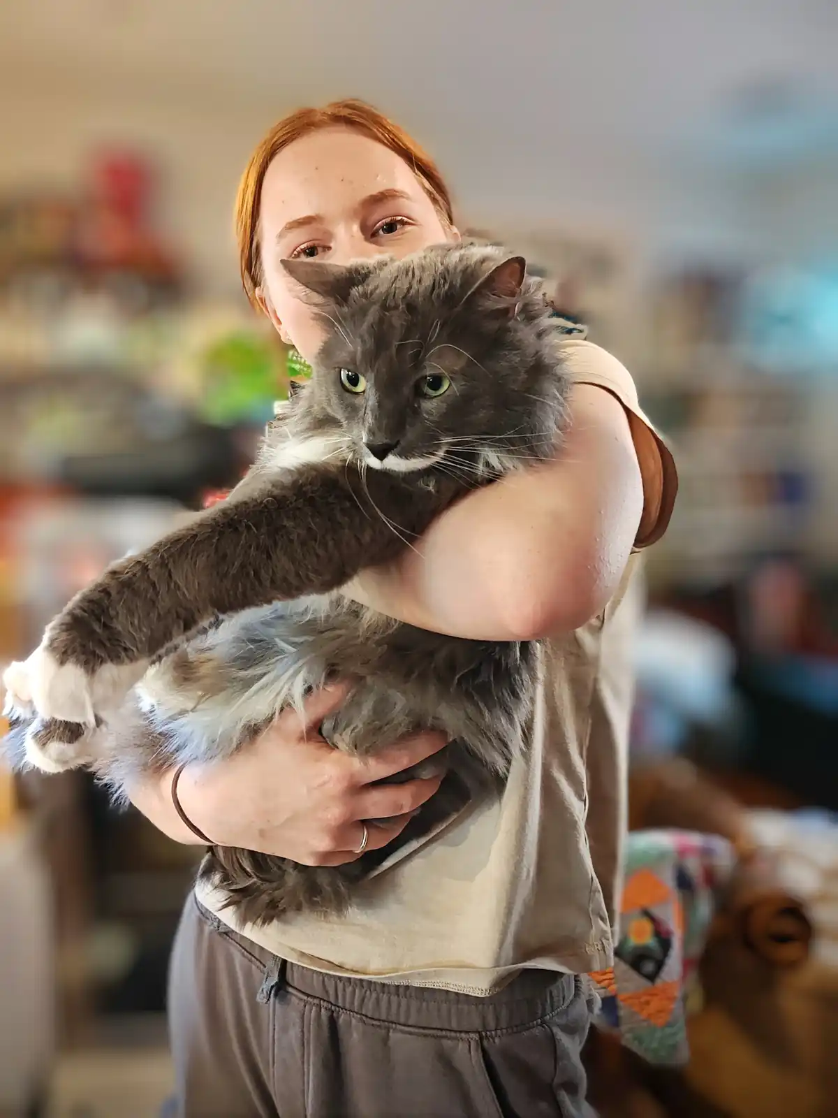 A person with red hair is holding a large, fluffy gray cat with green eyes. The cat is looking directly at the camera with a…