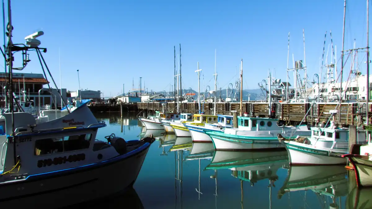A serene harbor scene with numerous fishing boats docked in calm, reflective water under a clear blue sky. The boats…