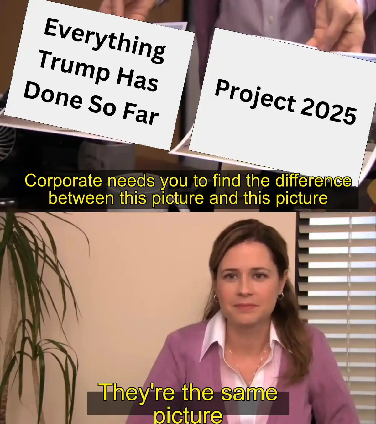 The image shows a split-screen meme. The top half displays two identical white cards with black text: one reads 'Everything…