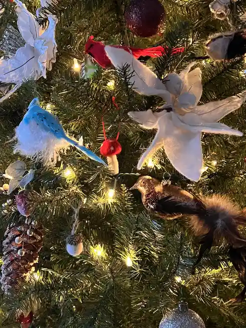 She just spotted the mushroom ornament that the cat mischievously stole from the Christmas tree and left behind.